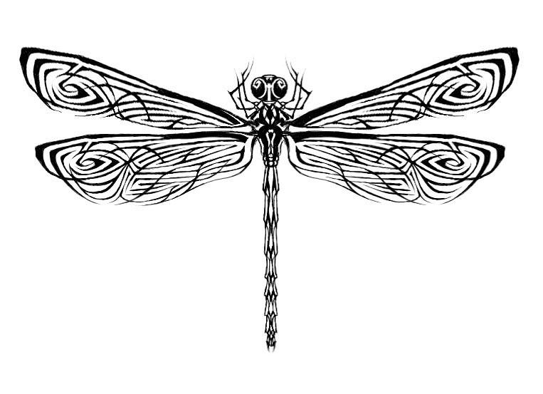Dragonfly Tattoo 1 - dragonfly tattoo