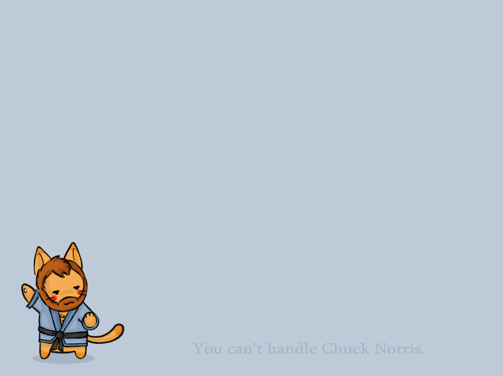 Kitty Chuck Norris - Wallpaper by *bakabaka on deviantART