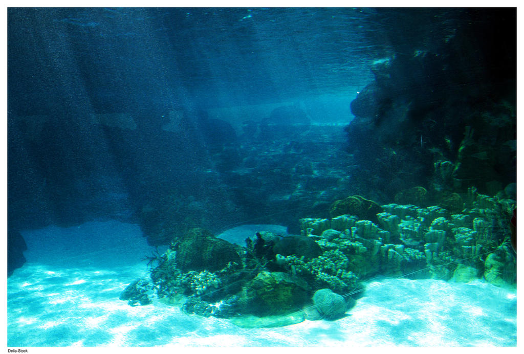ocean floor. Underwater Ocean Floor Light