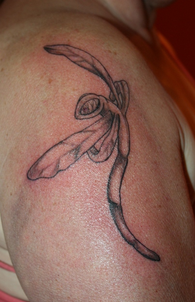 Dragonfly Tattoo by churra on deviantART