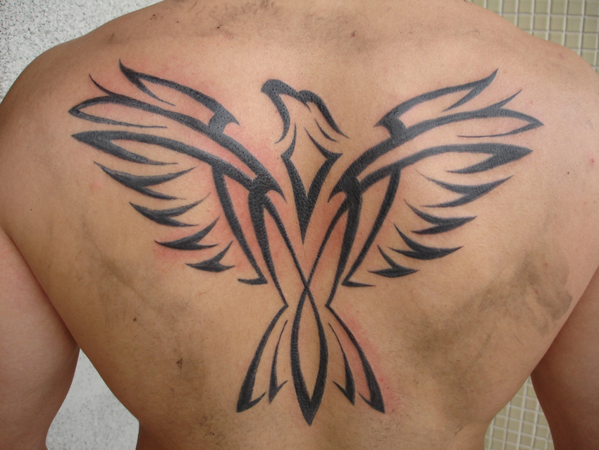 polish eagle tattoos. polish eagle tattoo; polish eagle tattoo. polish eagle; polish eagle tattoo