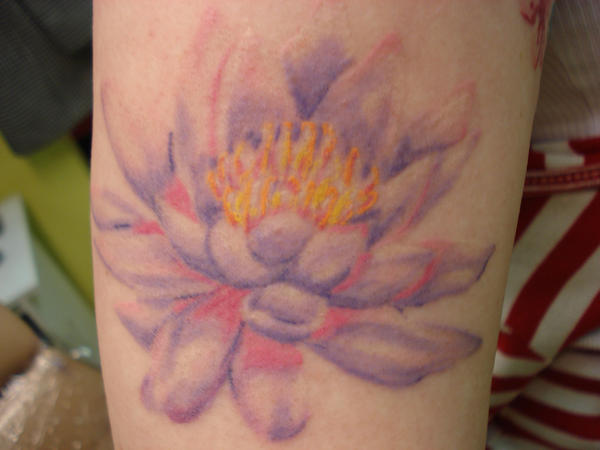 lotus tattoo by daredevil840 on deviantART