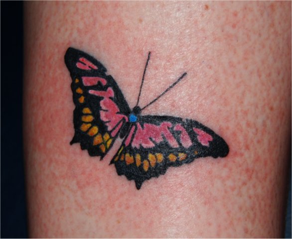 Butterfly on calf