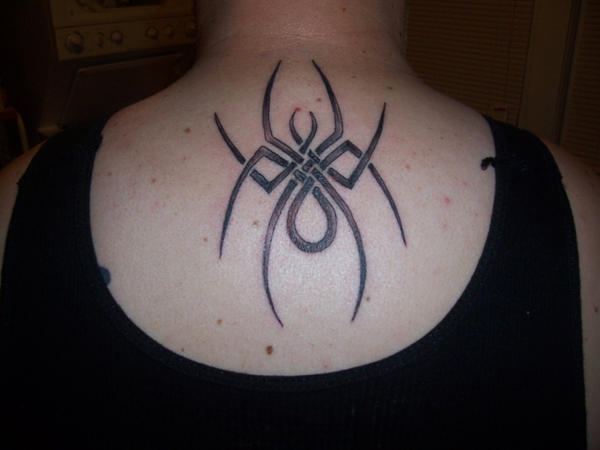 spider tattoos