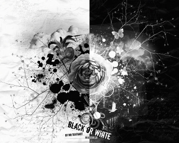 white wallpapers. black and white wallpapers.