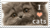 Stamp__I_love_cats_by_jelloween.png