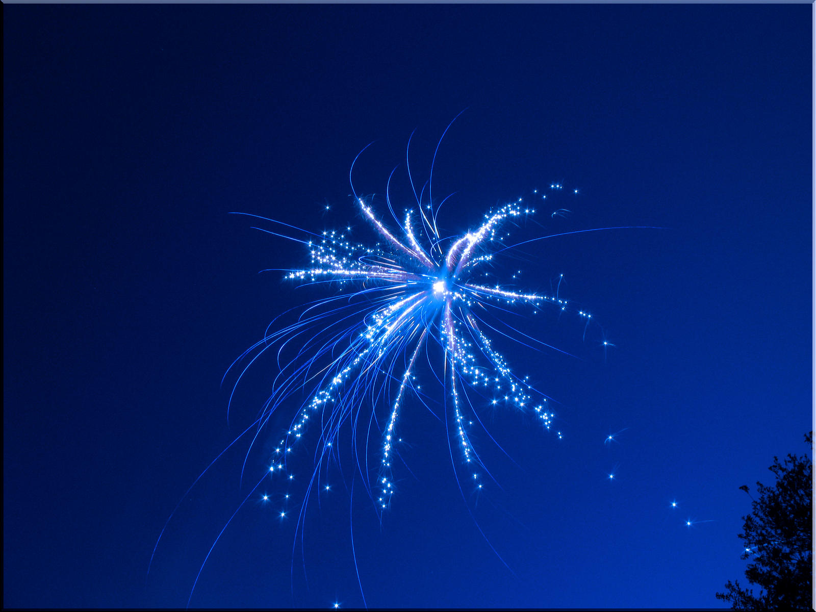 Blue Firework Contest Entry 2 By WDWParksGal Stock On DeviantArt