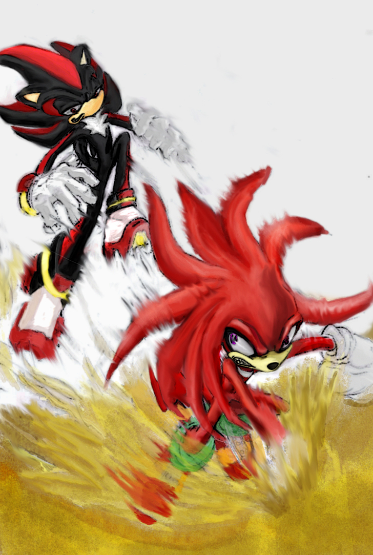 knuckles_vs_shadow_colored_by_gilau.jpg