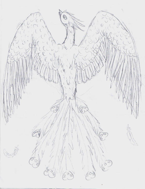 Phoenix Sketch by IlovedrawingDP on deviantART