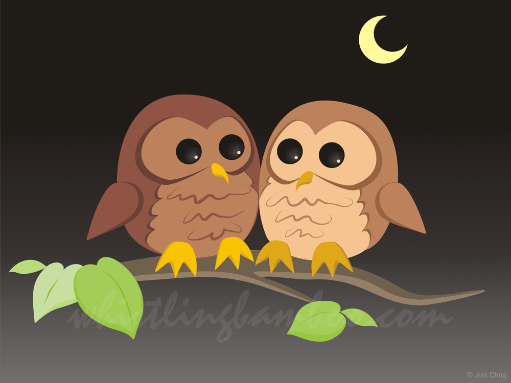 owl couple clipart - photo #37