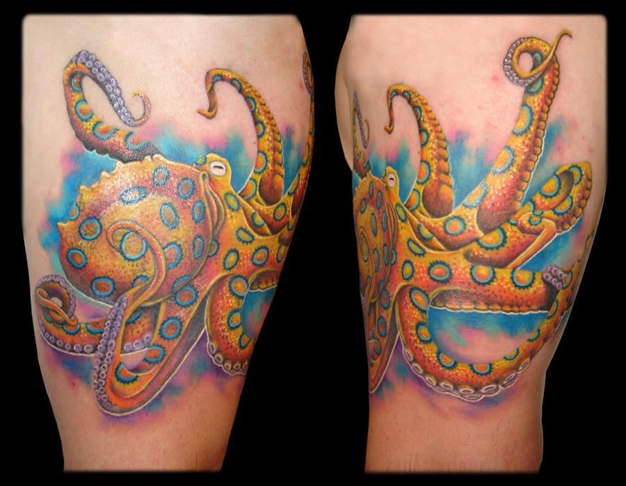 Blue Ringed Octopus by asuss06 on deviantART