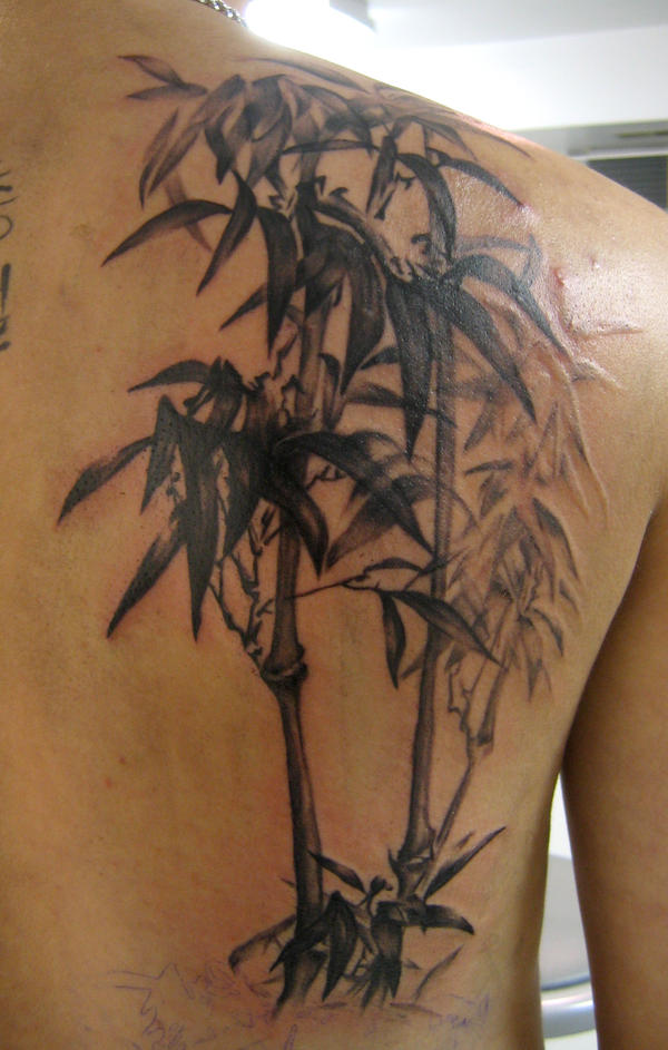 bamboo tattoo by farrensquare