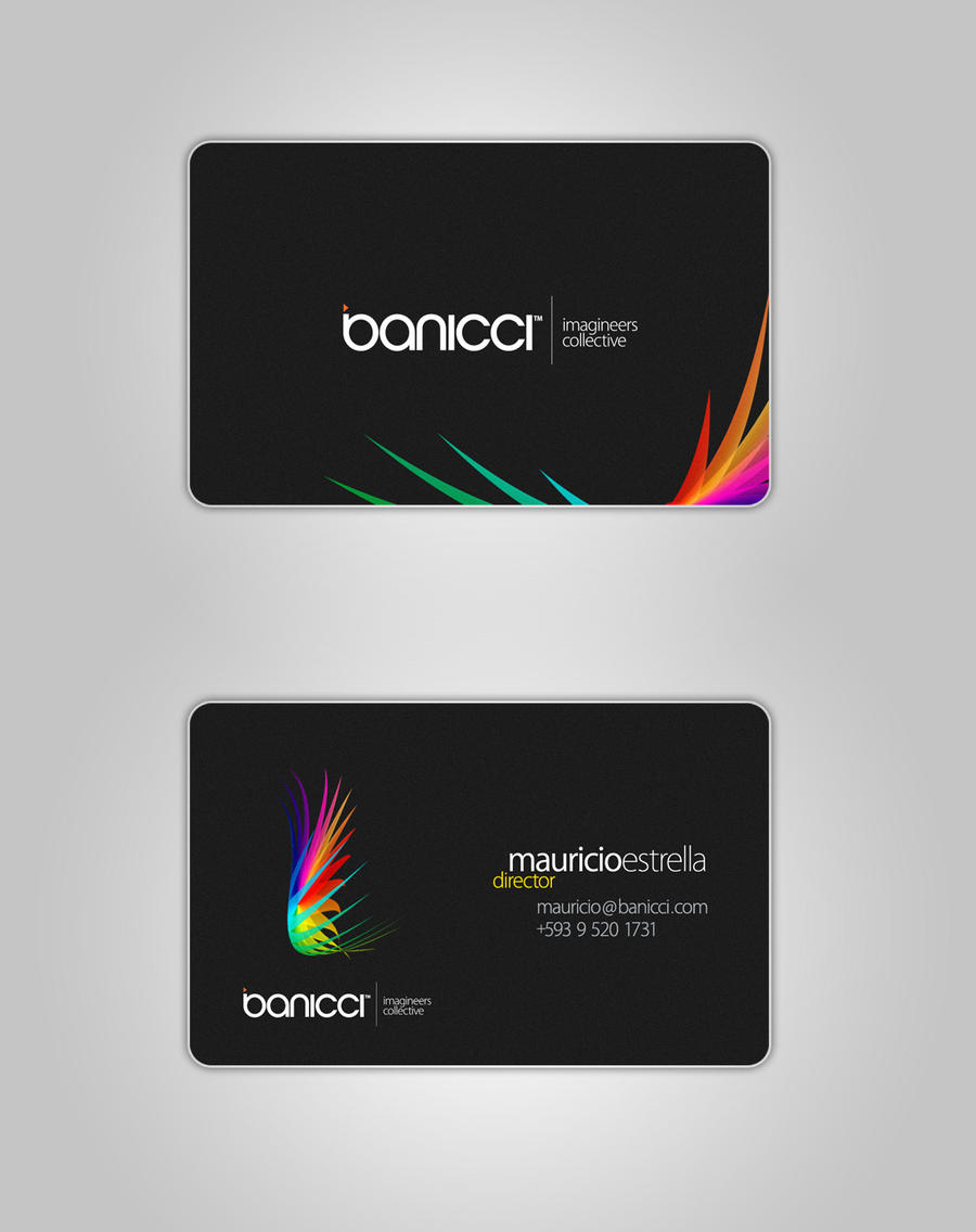 banicci_Logo_and_Business_Card_by_manicho.jpg
