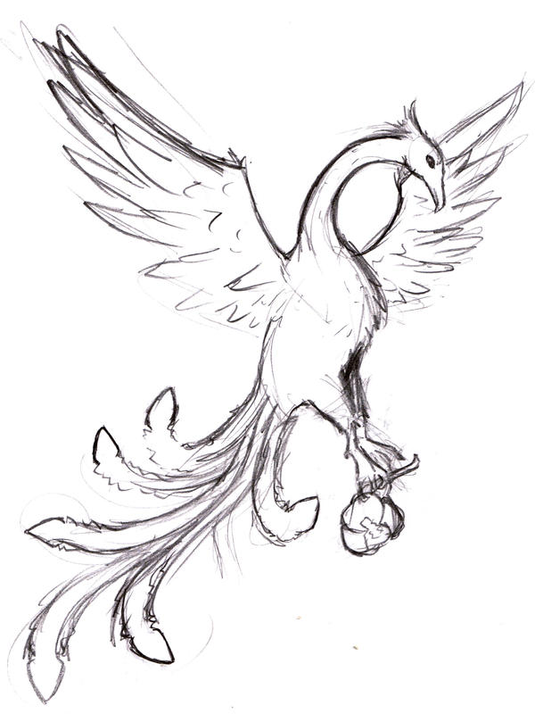 phoenix tattoo design wip by