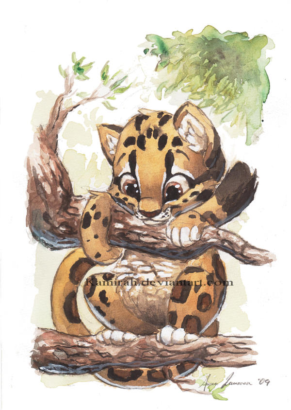 An illustration of a clouded leopard cub hanging onto a branch.