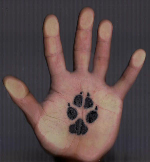Pictures of Dog Paw Print Tattoos Coyote Paw print tattoo by *ubunoir23 on 