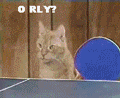 cat_ping_pong_by_animationcenter.gif