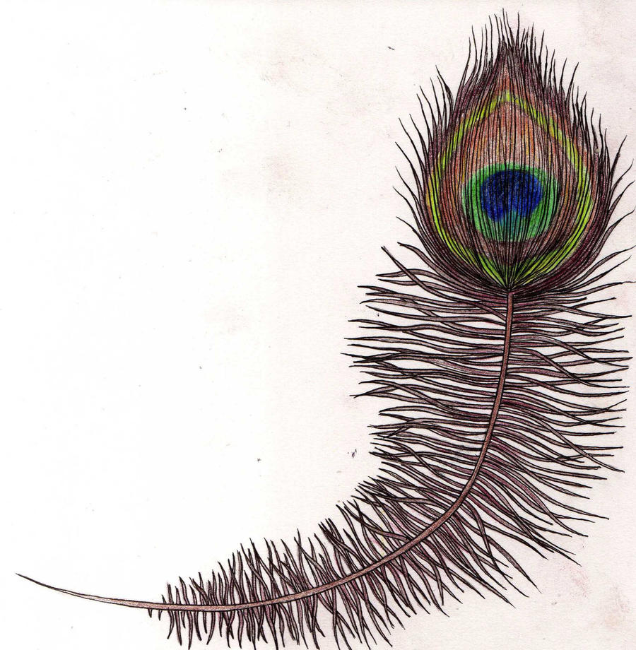 Peacock feather tatt design by