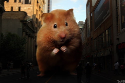 Giant_Hamster_by_Tommy92c.jpg