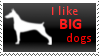 Big_Dogs_Stamp_by_Roonifer.png