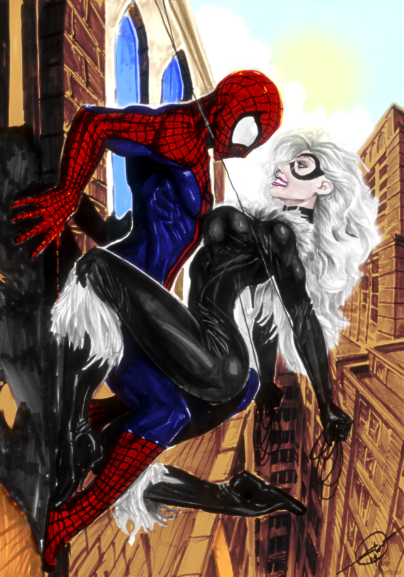 Spiderman_and_Black_Cat_by_DnD_21_Dream.