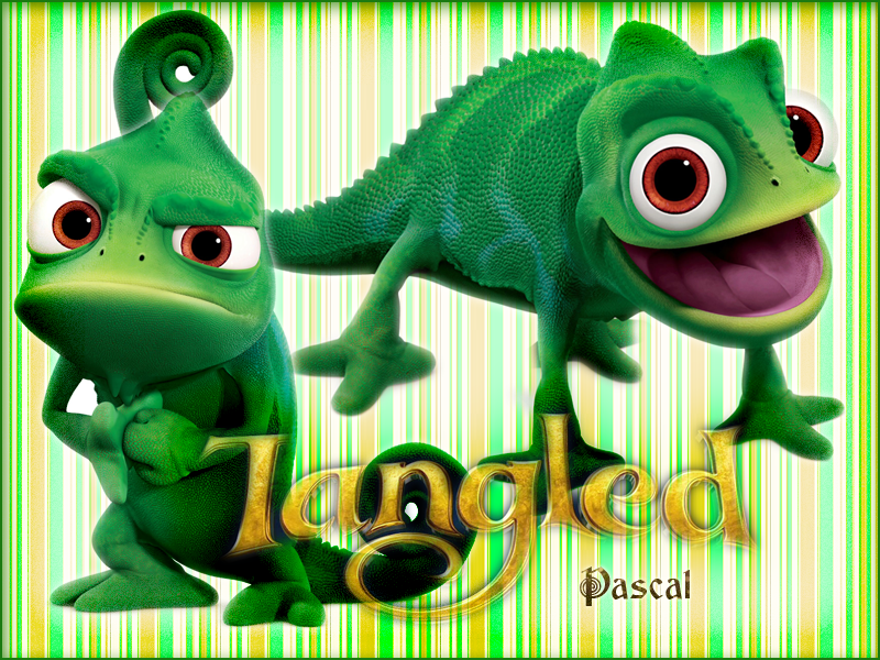 Tangled-Pascal