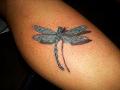 Dragonfly Tattoo Yusufcuk by baranoid on deviantART