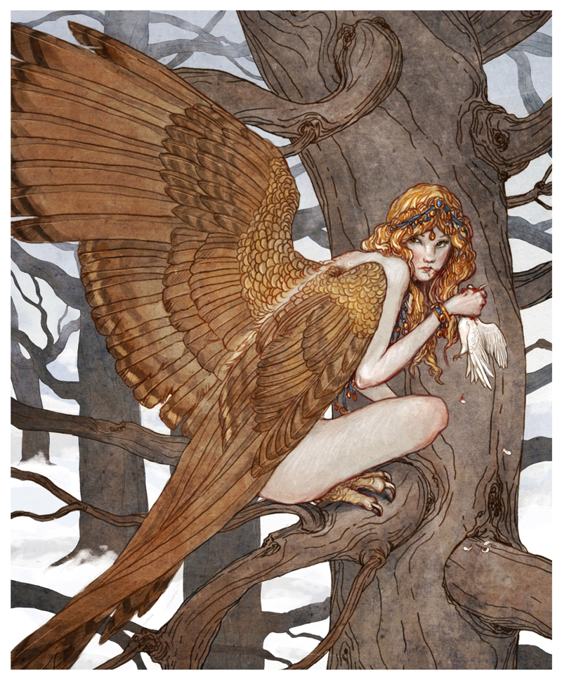 harpy_by_bluefooted-d3cdq5m.jpg