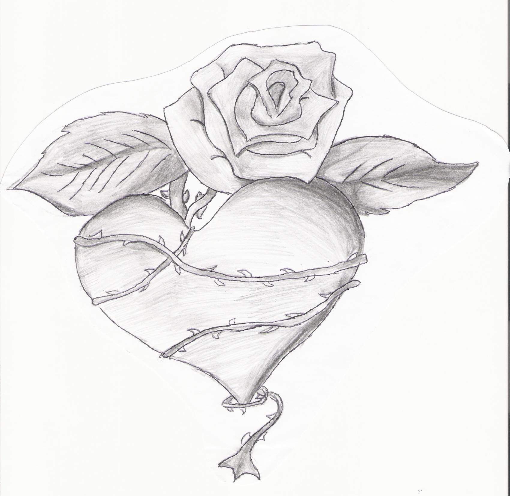 Rose And Heart Drawings