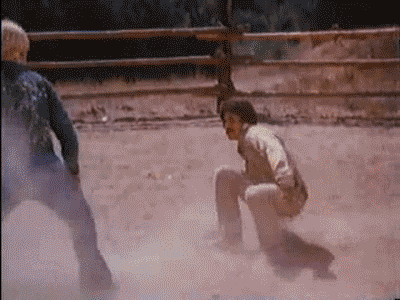 chuck_norris_round_house_by_chinqchucknorris-d4buzkn.gif