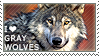 I love Gray Wolves by WishmasterAlchemist