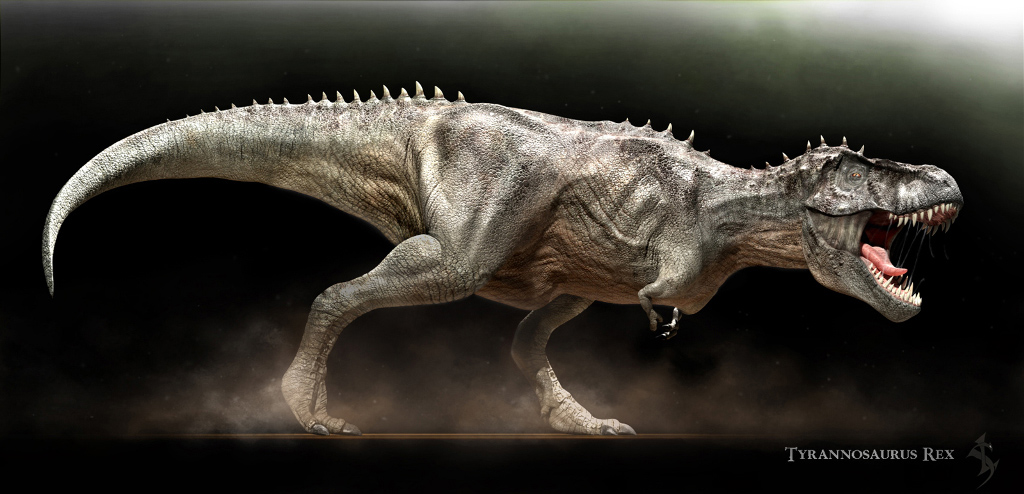 Tyrannosaurus rex by Swordlord3d