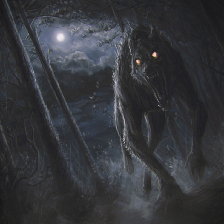werewolf_attack_by_stoudaa-d5ppzdi.jpg