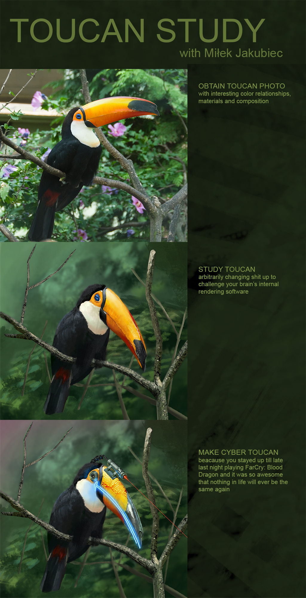 [Image: toucan_study_by_ethicallychallenged-d662cla.jpg]