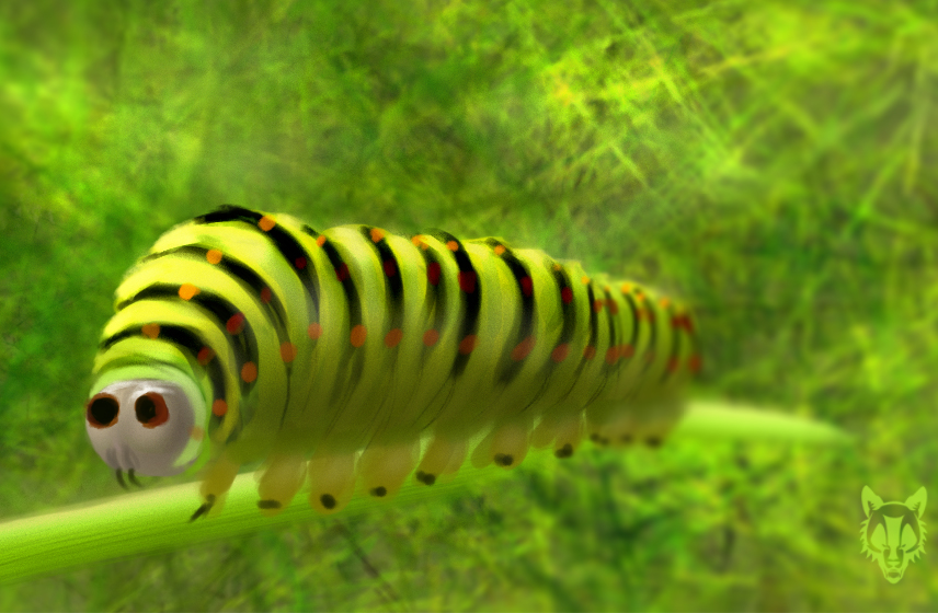 [Image: caterpillar___spitpaint_by_wolkenfels-d77tv4l.jpg]