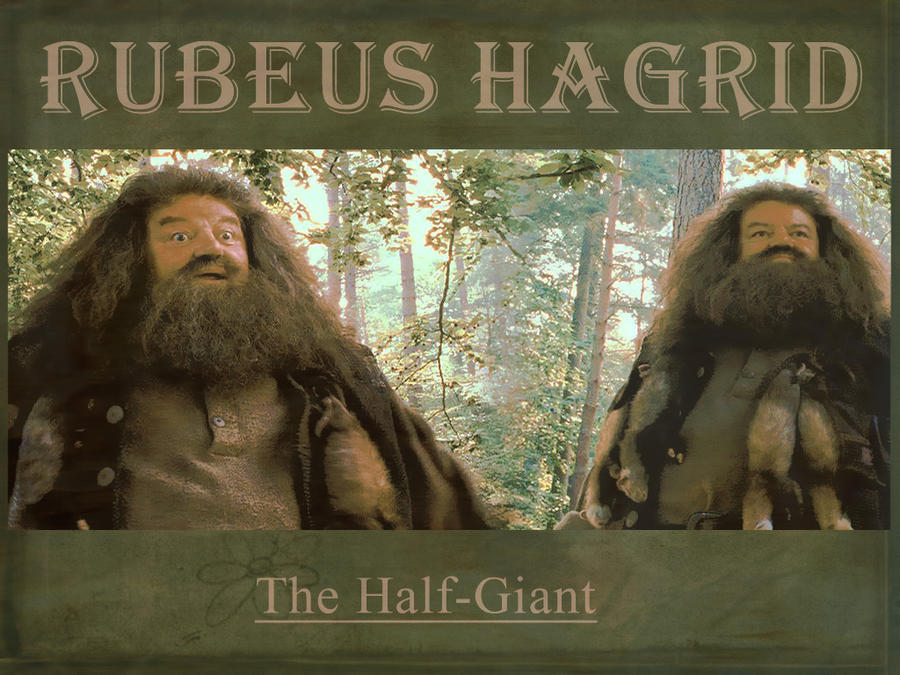 Harry_Potter___Hagrid_by_SarahZwerg.jpg
