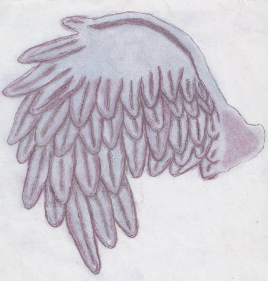 Wing Tattoo Design by