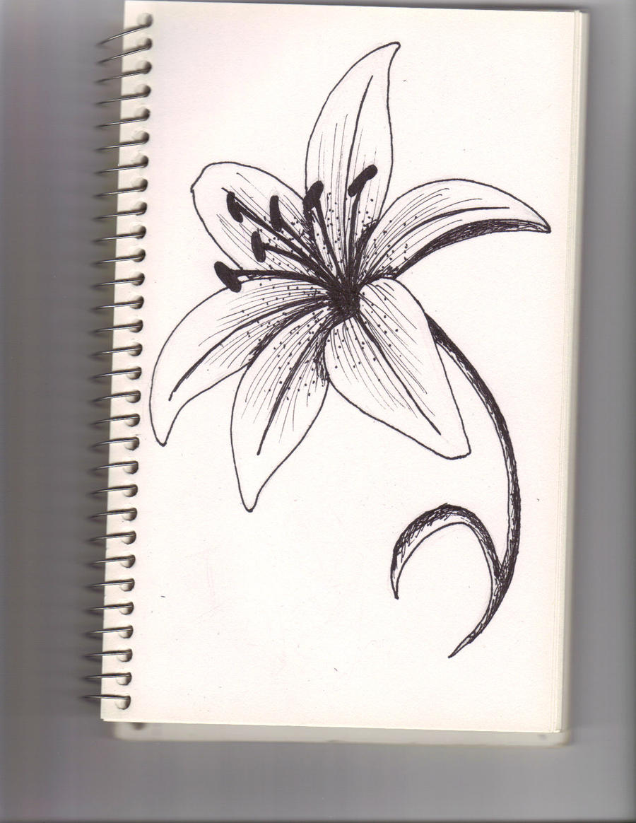 A lily flower by lyddy666 on