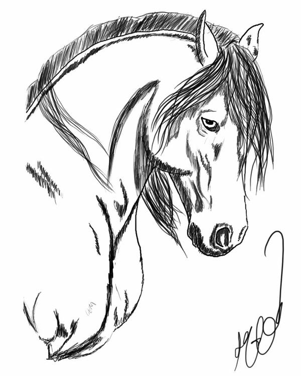 Horse tattoo Redo by Meancat