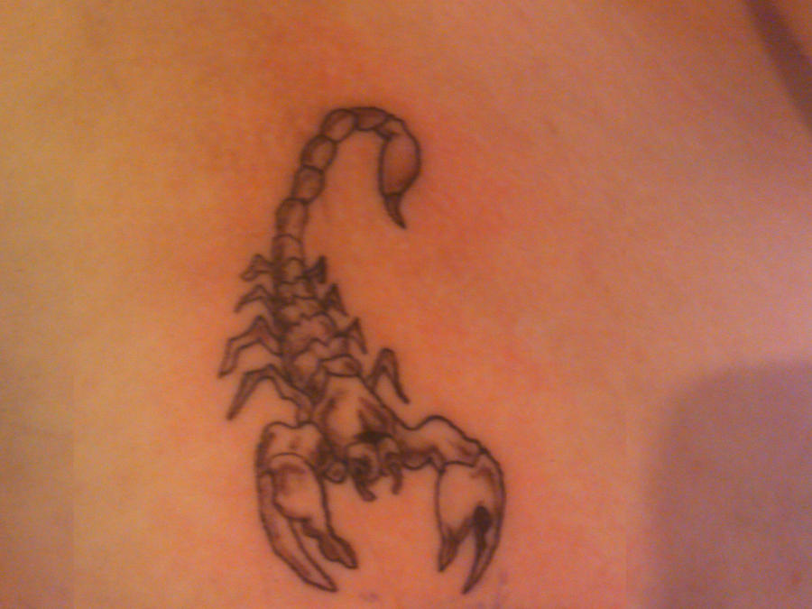 Scorpian Tattoo by ~LJ5784 on deviantART