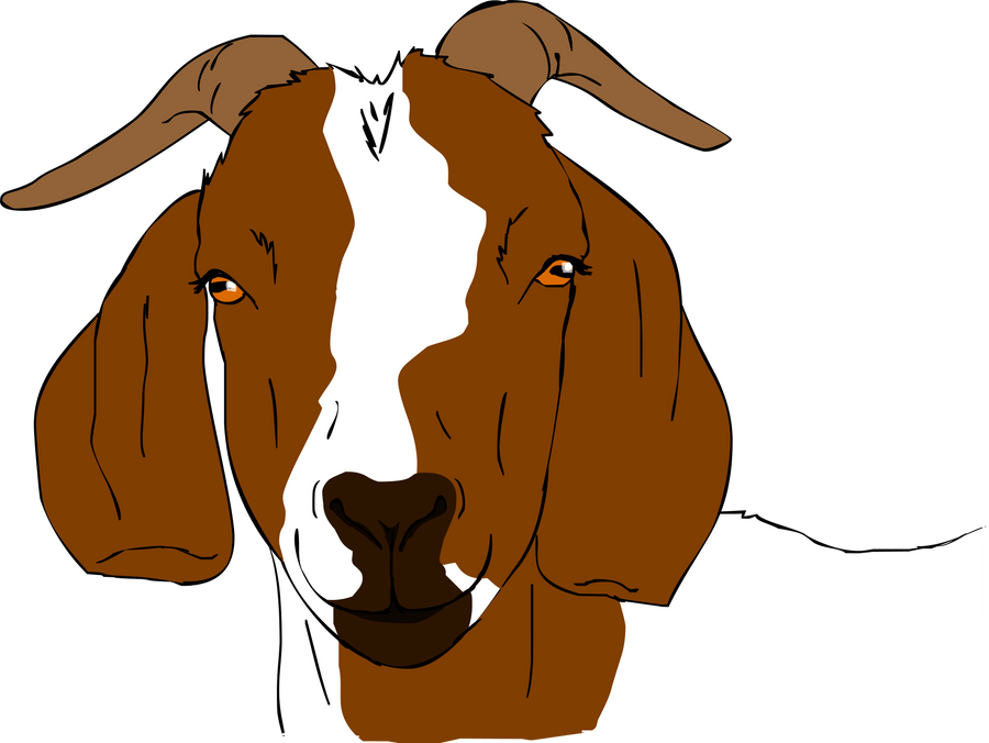 clipart of goat - photo #47