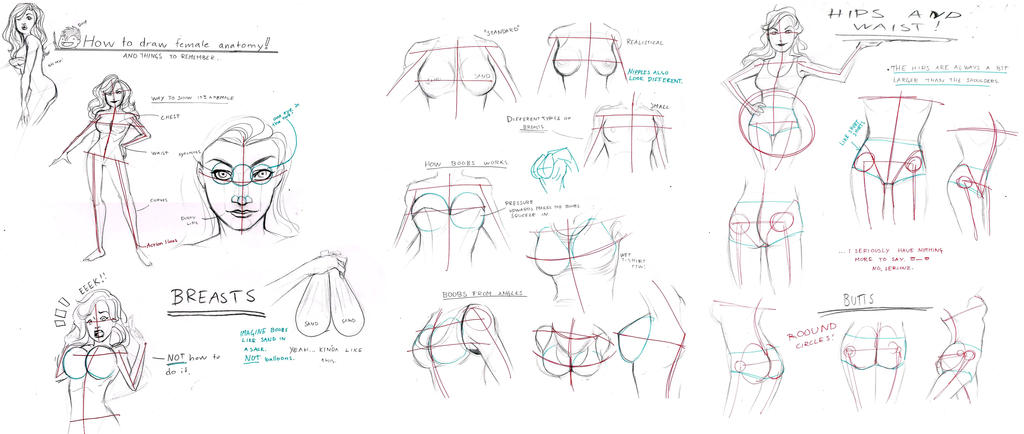 female_anatomy_by_precia_t-d6gn2ob.jpg (1597×1296) | Drawing tutorials