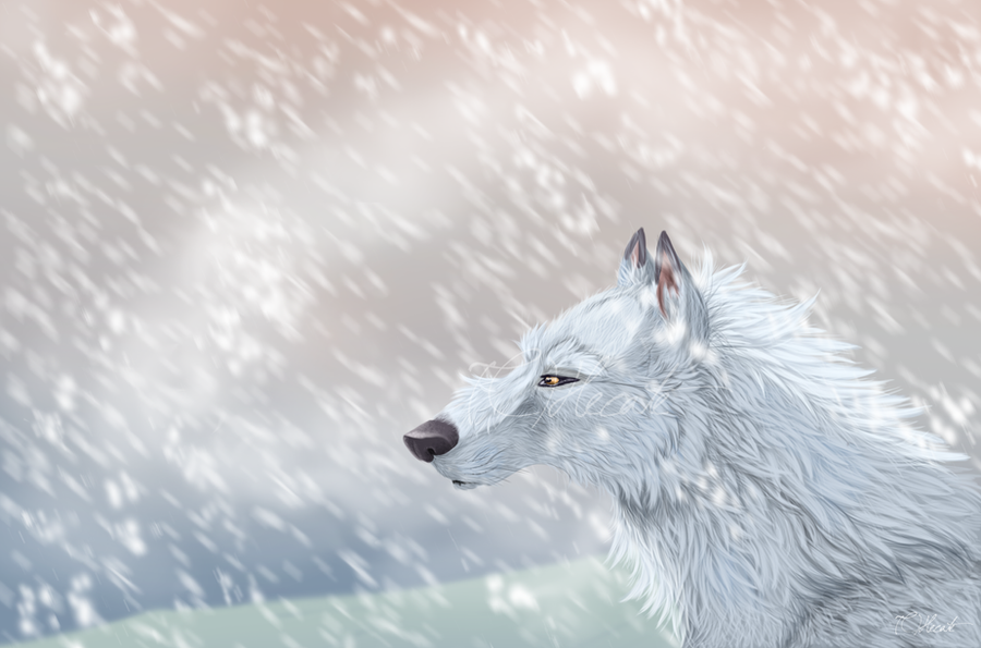 http://fc00.deviantart.net/fs70/i/2012/218/c/c/the_white_wolf_by_hecatehell-d5a0kwn.png