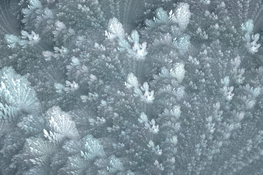 december_ice_crystals_by_baba49-d5nrfmx.jpg