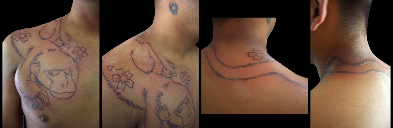 04.17.2010 snow monkey - chest tattoo