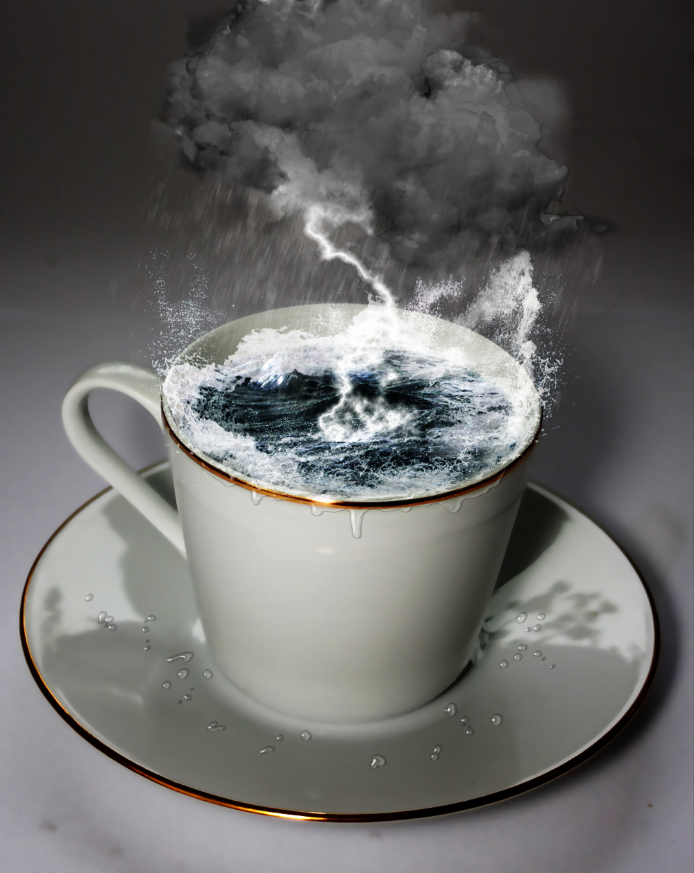 storm_in_a_teacup_by_kritter5x-d31kwvp.jpg