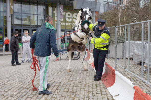 horse_and_police_by_glassandmatchsticks-d4vcx13.gif