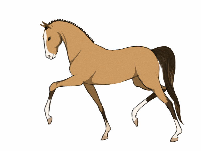 animated horse clipart - photo #22