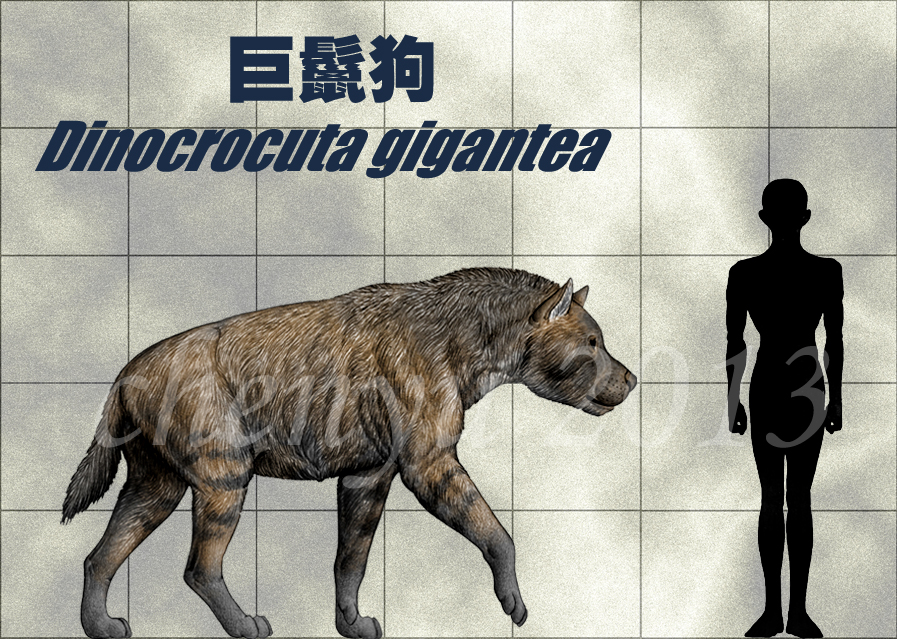 http://fc00.deviantart.net/fs71/f/2013/108/8/7/dinocrocuta_gigantea_by_sinammonite-d6257lw.jpg