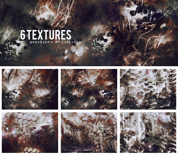 6 textures 900x650 : 26 by Carllton